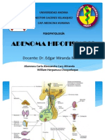 Adenoma Hipofisiario