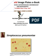 IVMS-Gross Pathology, Histopathology, Microbiology and Radiography High Yield Image Plates