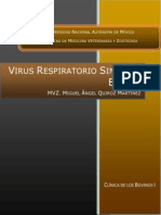 Virus Respiratorio Sincital Bovino