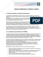 3-El Derecho Ambiental en El Marco Juridico Internacional y Nacional