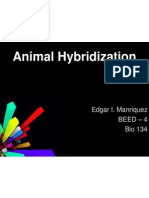 Animal Hybridization: Edgar I. Manriquez Beed - 4 Bio 134