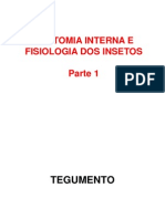 Anatomia Interna e Fisiologia Dos Insetos Parte 1