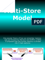 Multi Store Model