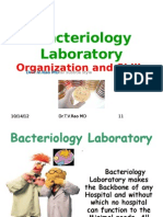 Bacteriology Laboratory Organization