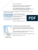 Exercícios de Reabilitação Da Contusão Ou Distensão Da Virilha