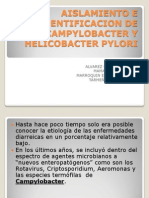 Aislamiento e Identificacion de Campylobacter y Helicobacter Pilory