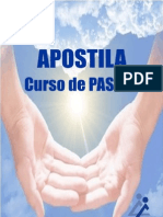 Apostila Passe Esde