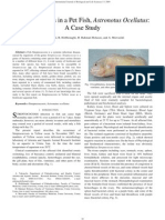 Streptococcosis in A Pet Fish, Astronotus Ocellatus: A Case Study