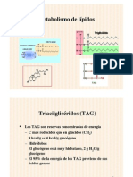 B-Oxidacion y Sintesis de Acidos Grasos