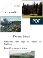 Floresta Boreal e Tundra