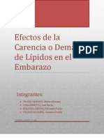 Lípidos en El Embarazo