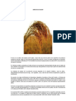 Info Tecnica Arroz PDF