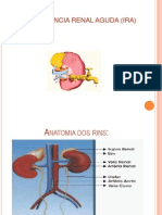 Insuficiencia Renal Aguda (Ira)