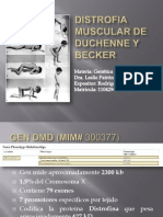 Distrofia Muscular de Duchenne y Becker