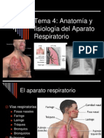 Aparato - Respiratorio en Diapositivas