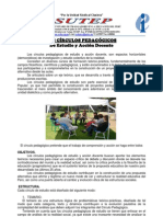 Circulos Pedagogicos Orientaciones