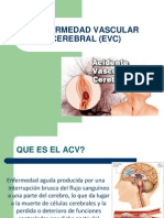 Enfermedad Vascular Cerebral (Evc)