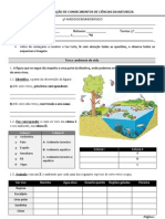 Teste 1 - 2011/2012 (Biosfera Revestimento e Forma Dos Animais) - 5º Ano