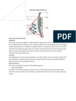 Anatomy and Physiology Breast