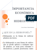 Importancia Económica de La Hidroponía