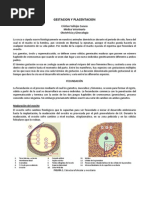 Apunte 3 - Gestacion y Placentacion