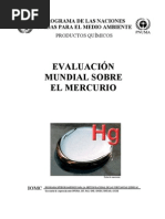 Evaluacion Mundial Sobre El Mercurio