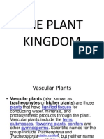 The Plant Kingdom