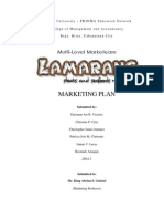 Marketing Plan: Multi-Level Marketeam