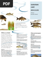 Carp Brochure - Hollie Newell