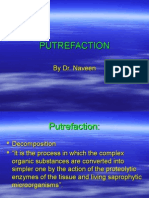 04 Putrefaction