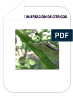 Injertación Citricos PDF