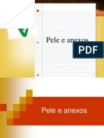 Pele e Anexos - Animais