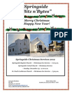 Springside Bitzn'Bytes Winter/Christmas Issue 2012