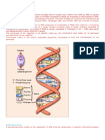  Bacterial Genetics