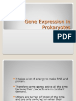 Gene Expression in Prokaryotes