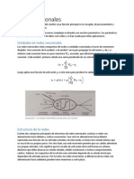 Redes Neuronales (Investigacion)