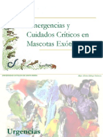 Emergencia y Cuidados Criticos Aves