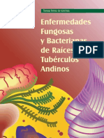 Enfermedades Fungosas y Bacterianas