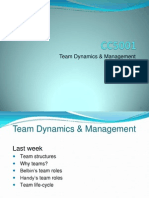 Team Dynamics & Management