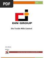 Din Textile Limited Proj