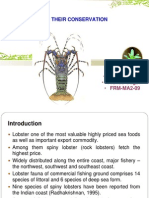 Lobster and Their Conservation1