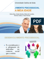 Desenvolvimento Psicosocial Na Meia Idade