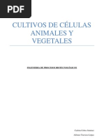 Cultivo de Células Vegetales y Animales