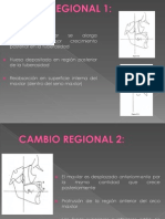 Crecimiento Craneofacial