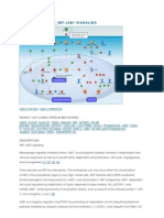 Immune Response - Mif-Jab1 Signaling: Object List (Links O Pen in Met Acore)