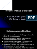 Posterior Triangle of The Neck: Maribel G. Castro-Enano, M.D. CPU College of Medicine