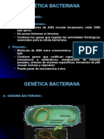 Genetica Microbiana