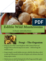 Edible Wild Mushrooms