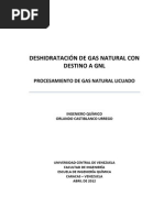 Deshidratación de Gas Natural Con Destino A GNL