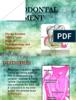 Periodontal Ligament